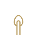 Critical Care Medicine & Emergency Care