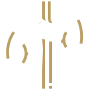 Urology & Nephrology